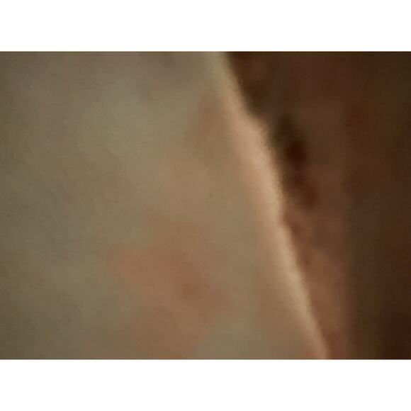 Talbots Women's Size 8P Petite Relaxed Chino Cotton Blend Relaxed Khaki Pants. - Picture 5 of 10